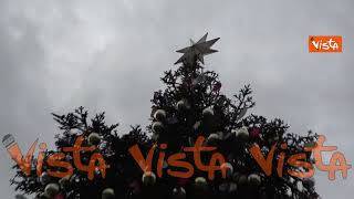 L’albero di Natale di Piazza San Pietro, un abete bianco donato dall'Abruzzo