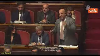 Berrino (FdI) al Senato: "Vi siete chiesti come mai al rave non c’e’ il pos?"