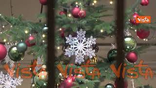 Ecco l’albero di Natale di Palazzo Chigi, un abete bianco bellunese donato dalla Provincia