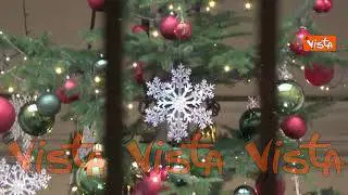 Ecco l’albero di Natale di Palazzo Chigi, un abete bianco bellunese donato dalla Provincia