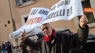 "Giù le mani dai cinghiali", la protesta degli animalisti davanti alla sede di Fratelli d'Italia
