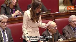 Sanremo, Morgante (FdI): Rosa Chemical spot gender fluid, sconcertante presenza davanti a bambini