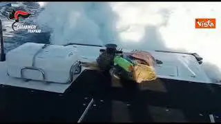 Carabinieri salvano tartaruga Caretta Caretta intrappolata nella plastica