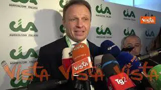 Etichetta vino, Lollobrigida: “Irlanda divide Europa, faremo resistenza"