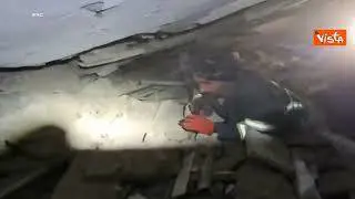 Terremoto Turchia, cane da salvataggio trova sopravvissuto sotto le macerie