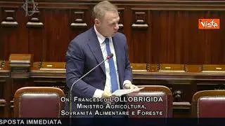 Lollobrigida: Produzioni bio certificate da organismi controllo autorizzati da Ministero Agricoltura