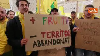Sos frutta, il flashmob del giovani di Coldiretti in Calabria a difesa della produzione