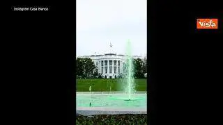 L'acqua della fontana della Casa Bianca si colora di verde per San Patrizio