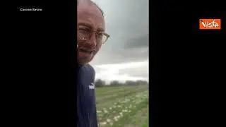 Violenta grandinata a Foggia, le lacrime del floricoltore sul campo: "Addio tulipani, è finita"
