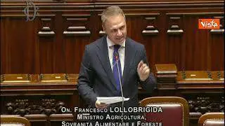 Reddito cittadinanza, Lollobrigida: "Non ho nulla di cui scusarmi. Non esiste diritto a sussidi"