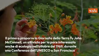 Che cos'è la Giornata della Terra? - L'infografica