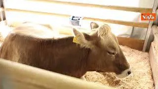 Prandini (Coldiretti): La corretta alimentazione è fondamentale anche nelle scuole