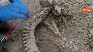 A Pompei ritrovati due scheletri intatti. Ecco le immagini