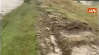 Maltempo Emilia Romagna, il fiume Idice esonda e crolla un ponte a Molinella