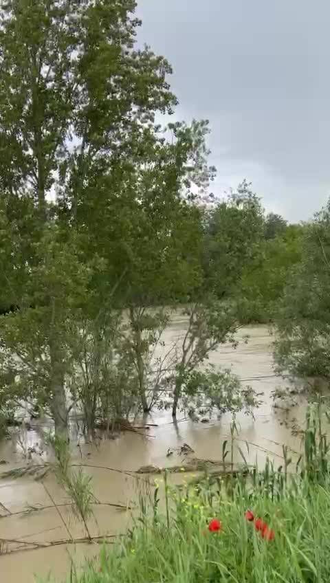 La potenza devastante dell'acqua. Video dei "Fiumi Uniti" a Ravenna