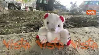 Alluvione Emilia Romagna, un peluche bianco lasciato su un muretto a Faenza