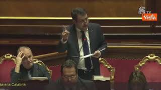 Dl Ponte, Salvini: "Bisogna osare, l'hanno fatto Leonardo e Raffaello"