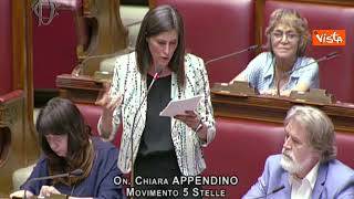 Maternità surrogata, Appendino (M5s): "Renderla reato universale è un obbrobrio giuridico"