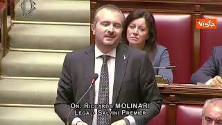 Molinari (Lega): Berlusconi ha lottato con umiltà ed è tornato in Senato dalla porta principale