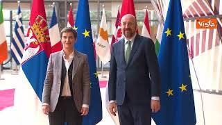 Michel riceve la prima ministra serba, Ana Brnabic