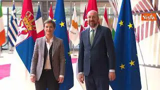Michel riceve la prima ministra serba, Ana Brnabic