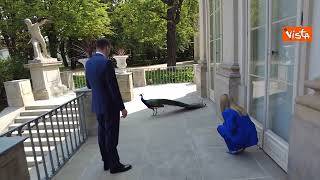 Meloni a Varsavia accolta dal premier polacco Morawiecki con un mazzo di fiori