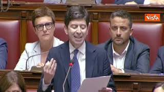 Speranza: "Commissione inchiesta Covid ha finalità di mettere su un tribunale politico"