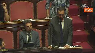 L'annuncio di Sensi (Pd) in Aula: "Zaki è stato graziato", scatta l'applauso dei Senatori