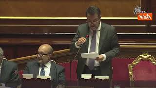 Salvini: "Fino a revoca patente per chi abbandona animali in strada"