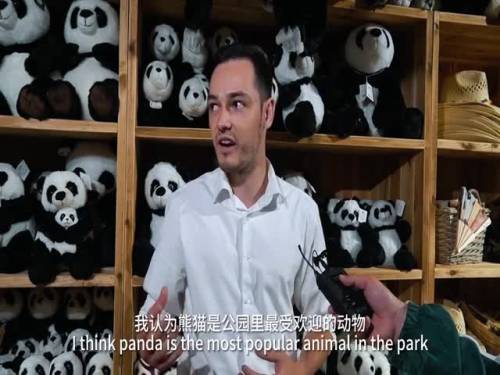 Pace, sport e amicizia tra popoli: i panda di Chengdu ci accompagnano all'Universiade 2023