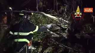 Maltempo in Friuli, le immagini degli alberi caduti a Gorizia