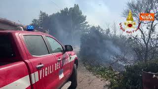 Canadair e vigili del fuoco in azione per spegnere le fiamme