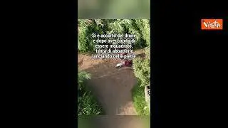 Piromane avvistato da un drone in Calabria, il video del presidente della Regione Occhiuto