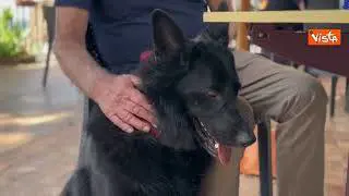 "L'amicizia è una cosa seria", ecco lo spot della Polizia contro l'abbandono degli animali in estate