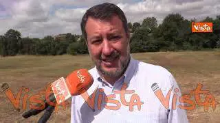 Salvini: "Chi abbandona animali compie un atto criminale, sarà prevista revoca della patente"