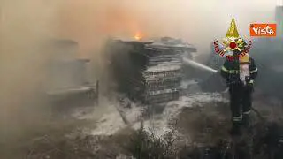 Incendi in Sardegna, oltre 60 interventi dei Vigili del Fuoco