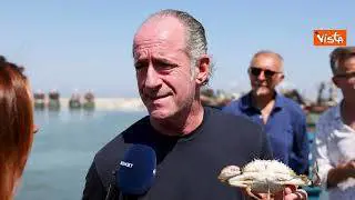Zaia (Veneto): "Il granchio blu è un cataclisma, attendiamo stato di emergenza"
