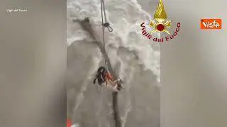 Il salvataggio dei Vigili del fuoco di una mandria di ovini dalle acque di un torrente in Piemonte