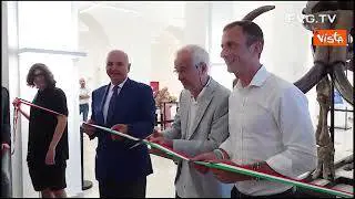 Fedriga: Il Palazzo della presidenza della Regione Friuli ospita la mostra "Ice Age"