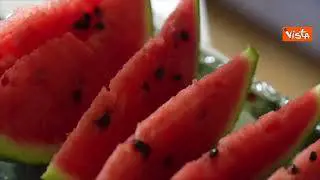 Lukashenko dona cocomeri coltivati da lui ai giornalisti in occasione del suo compleanno