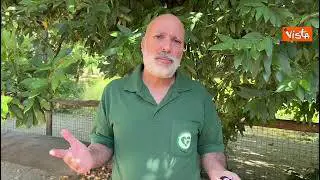 Al Bioparco di Roma nata zebra di Grevy, il responsabile zoologico Yadid: In natura pochi individui