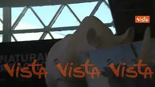 Adr presenta "Natural Reaction by Marcantonio", ecco la nuova opera al Leonardo da Vinci