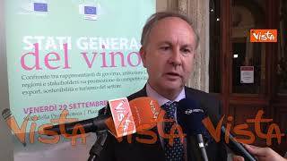 Corazza: "L'Unione Europea è una superpotenza del vino, rinforzare il settore con quadro politiche"