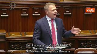 Lollobrigida: "Su ddl cibo sintetico nessun motivo di procedura infrazione Ue"
