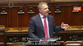Lollobrigida: "Su ddl cibo sintetico nessun motivo di procedura infrazione Ue"