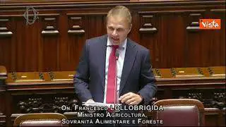 Lollobrigida: "A breve erogazione risorse a imprese per emergenza granchio blu"