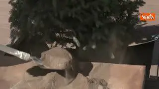 Mattarella pianta un albero al palazzo presidenziale in Uzbekistan