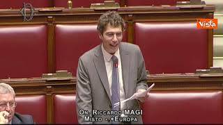 Carne sintetica, Magi (+Europa): "Ddl anticostituzionale e anti italiano"