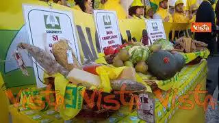 "W la legge contro la carne artificiale", i cartelli al presidio Coldiretti a Roma