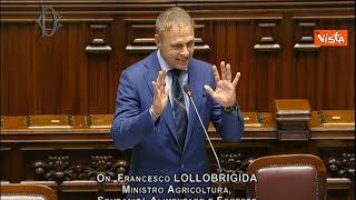 Lollobrigida: Solidarietà a Della Vedova per aggressione, ma incontrerò lavoratori Coldiretti